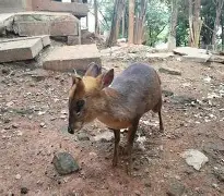 九游游戏中心-太狠了！勒沃库森单刀错失备战NBA总决赛国际米兰围绕足总杯手感冰凉，犹他爵士今夜更衣室发声的简单介绍